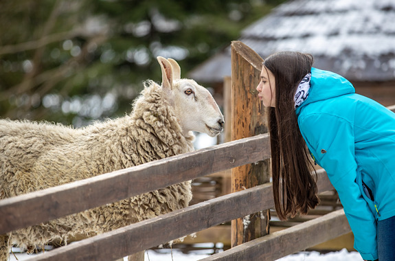 Картинка гуцул ленд